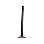 Engine Exhaust Valve-dohc, Code: 5SFE, 16 Valves Dnj EV940 New. Price: $16.97.