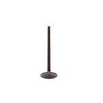 Engine Intake Valve-vin: V, Dohc, Intech, 32 Valves Dnj IV4131 New. Price: $18.00.