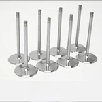 Genuine Gm 12569427 LS3 Hollow Stem Lightweight Intake Valve 2.165" Set Of 8 New. Price: $389.99.
