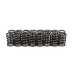 Brian Crower BC1330 Single Valve Springs Kit For Toyota Scion 1ZZ-FE 1NZ-FE New. Price: $110.12.