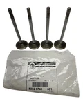 Mopar Exhaust Valve Set Of For Chrysler Dodge Jeep 4.7L 53020748 New. Price: $60.00.