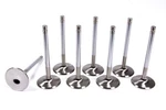 Ferrea Gm Ls C/p Hs 2.165 Intake Valves- F2010P-8 New. Price: $441.30.