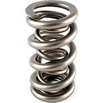 Pac Racing Springs 1361-16 Dual Drag Race Valve Od: 1.536S New. Price: $592.20.