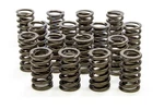 Isky Cams 1.260IN Valve Springs 295D New. Price: $403.95.