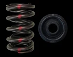 Brian Crower BC0030S Dual Valve Springs + Steel Retainers Honda Vtec H22A1-4 New. Price: $339.00.