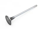Mopar 05047069AB, Engine Valve Nos New. Price: $36.71.