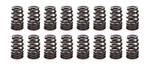Racing Springs 1.282 Valve Ovate Beehive (16) PAC-1280X-16 New. Price: $236.59.