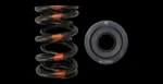Brian Crower BC0020S Valve Springs Steel Retainers Honda B18A B20B New. Price: $334.00.