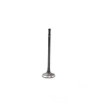 Engine Intake Valve-diesel, Dohc, Code: N57D30T, Turbo, 24 Valves Dnj IV844 New. Price: $26.68.