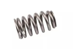 Acdelco LS7 Beehive-style Valve Springs 12621428 New. Price: $49.09.
