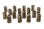 Racing Springs 1.244 Single Valve W/damper (16) PAC-1200-16 New. Price: $261.95.