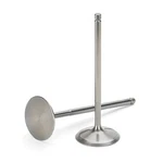 Supertech FEVN-5021T-16 Stainless Steel Black Nitride Exhaust Valve Set Of New. Price: $393.56.