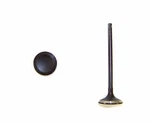 Dnj EV720 Exhaust Valve Subaru Legacy Impreza Outback Forester Baja 9-2X New. Price: $21.34.