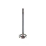 Engine Exhaust Valve-vin: X, Dohc, Turbo, Ecotec, 16 Valves Dnj EV323 New. Price: $28.29.