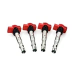 Mishimoto MMIG-VW-0604 Ignition Coil, Set Of 4, Fits 2006-2008 Volkswagen Gti New. Price: $132.99.