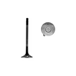 For Toyota Celica 2000-2005 Dnj Engine Components Exhaust Valve New. Price: $13.18.