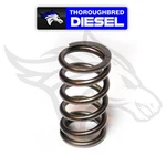 Hamilton Cams Valve Springs For 98.5-15 Dodge 5.9L/6.7L Cummins; 07-S-003 New. Price: $349.00.