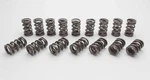 Manley Performance Products 1.550 Nextek Dual Valve Springs 221452SF-16 New. Price: $849.13.