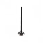Engine Exhaust Valve-dohc, Code: 2ZZGE, Valves Dnj EV916 New. Price: $19.28.