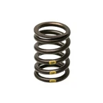 11-34-1-276-504 Genuine Bmw Valve Spring For 735 535 635 Series 533 733 633 New. Price: $37.74.