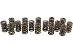 Isky 9995-RAD Tool Room Dual Valve Springs W/ Damper, 1.560" O.d. New. Price: $578.17.