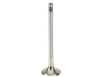 Trw Exhaust Valve Fits Vw Beetle 2006-2010, 2012-2017 47PQTSKD New. Price: $57.32.