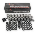 Brian Tooley Btr Ls .660" Dual Valve Springs Kit + Retainers ***in Stock** New. Price: $319.99.