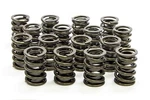 Isky Racing Cams 9365SP Series High Endurance Dual Valve Spring New. Price: $391.99.