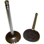 IV3125A Dnj Intake Valve For Chevy Olds Express Savana Suburban Blazer G10 New. Price: $26.15.