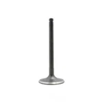 Engine Intake Valve-vin: E, Sohc, 8 Valves Dnj IV305 New. Price: $9.99.