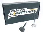 Chevrolet LS1 - Stainless Steel Racing Valves (8) Intake Exhaust (16) Vss New. Price: $275.00.