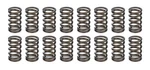 Crower Valve Springs 1.045 68195-16 New. Price: $122.71.