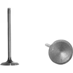 EV332 Dnj Exhaust Valve For Chevy Olds Pontiac Sunfire Chevrolet Cavalier Alero New. Price: $24.18.