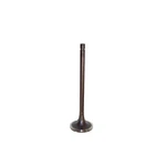Dnj EV4200 Exhaust Valve Fits 1999-2003 Ford F-350 Super Duty 94-97 New. Price: $35.99.