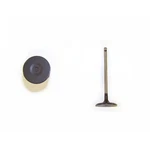 Dnj IV968 Engine Intake Valve For Select 05-19 Lexus Toyota Models New. Price: $15.99.