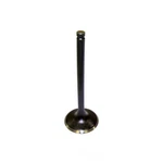 Engine Intake Valve-vin: M, Ohv, 12 Valves Dnj IV3117A New. Price: $16.85.
