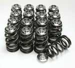 P-d SR20 Single Spring W/ Titanium Retainer Valvetrain Kit GSC5051 New. Price: $399.92.