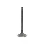 Engine Intake Valve-dohc, Code: QR25DE, 16 Valves Dnj IV638 New. Price: $15.66.