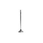 Dnj IV4260 Intake Valve Fits 2011-2022 Ford F-350 Super Duty New. Price: $31.99.