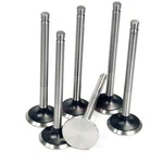 New Set Of 6 Exhaust Valves Fits Some Ford 223 Cylinder Engines. Price: $54.12.