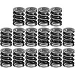 Manley 22407-16 Street Master Valve Springs New. Price: $211.87.