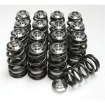 Gsc P-d SR20 Single Spring W/ Titanium Retainer Valvetrain Kit 5051 New. Price: $461.92.