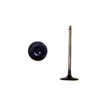 Dnj IV954 Engine Intake Valve For 05-15 Toyota 4RUNNER Tacoma New. Price: $15.99.