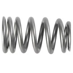 Ford Beehive Valve Spring Set M-6513-1219X New. Price: $320.85.