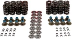 Melling Performance VSK461208T High Valve Spring New. Price: $346.29.