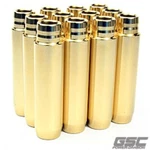 Gsc Power 3079-20 Exhaust Valve Guide For Audi R8 V10/LAMBORGINI Gallardo New. Price: $138.16.