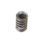 Genuine 84-96 Cadillac Chevrolet Gmc Oldsmobile Engine Valve Spring 3911068 New. Price: $21.17.