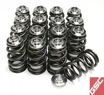 Gsc Power Division Beehive Valve Spring Titanium Retainer For 91-98 180SX 5051 New. Price: $431.91.