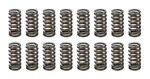 Racing Springs 1.025 Valve Ovate Beehive (16) PAC-1233-16 New. Price: $248.95.