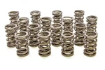 Racing Springs 1.550 Dual Valve (16)- PAC-1245-16 New. Price: $422.21.